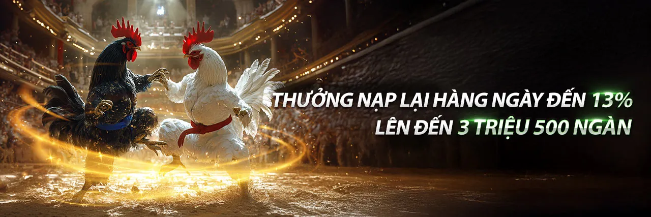 Đá Gà Trực Tuyến Sôi Động tại vnbet khuyến mãi